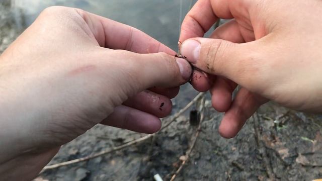 Ловля карася весной. Рыбалка на реке. Рыбалка в Нижнем Новгороде 2022. Рыбалка весной. смотреть онлайн