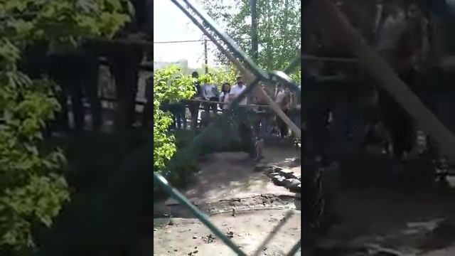 В зоопарке смотреть онлайн