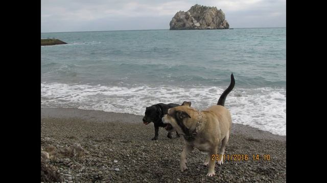 Гурзуф  Крым