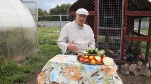 Куры клюют, и выдирают друг у друга перья. Быстрое решение проблемы.