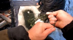 ЩУК ТЬМА + СУДАКИ! Как Ловит Сеть FISHING PRO Геннадия !  Рыбалка 2022!