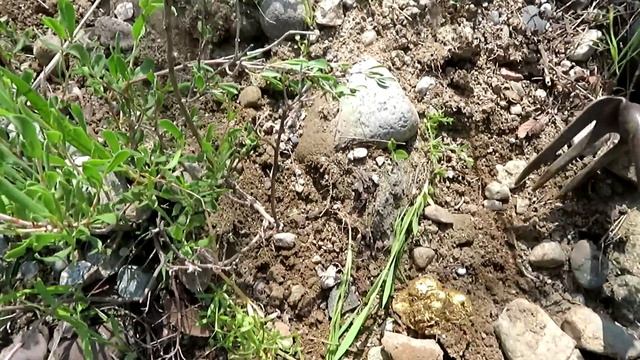 В ХОРОШИЙ ДЕНЬ ЗАНИМАЮСЬ ПОИСКАМИ ЗОЛОТА смотреть онлайн