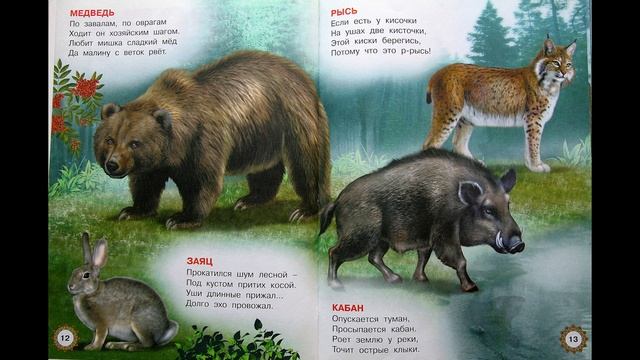 Мир зверей и птиц. В. Степанов. Издательство Фламинго. Дети 0+ смотреть онлайн