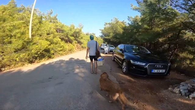 AYVALIK-CUNDA ADASI: BİR PATİLİ TATİL HİKAYESİ смотреть онлайн