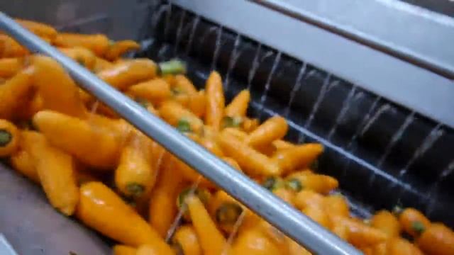Чистка моркови смотреть онлайн