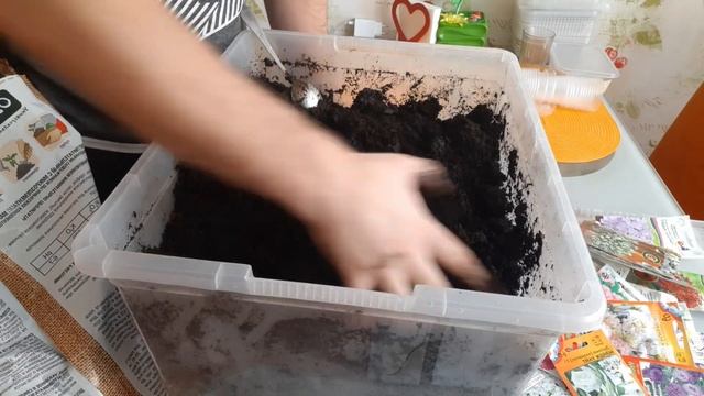 Эустома простой посев без секрета... Ирландская роза в саду. смотреть онлайн