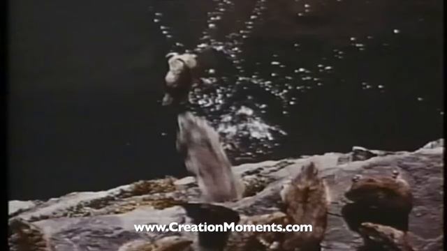 Do Lemmings Commit Suicide? смотреть онлайн