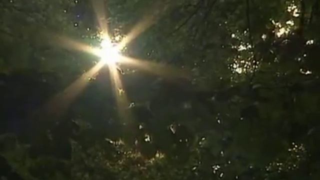 Artur Erikson - När guds röst. ( When God's voice ) смотреть онлайн