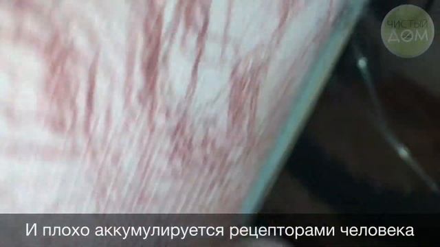 Средство от клопов | Как избавиться от клопов смотреть онлайн