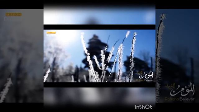 Мухаммад Хоблос.В чём смысл твоей жизни в этом мире смотреть онлайн