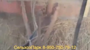 УНИКАЛЬНЫЙ ПРЕСС-ПОДБОРЩИК KRONE KR 125 | Отзыв Миллерово