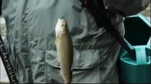 Аэротрейд - Вверх по реке Ия на аэролодках  Тофалария