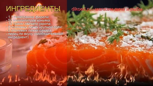 Наука о Животных и их Поведение