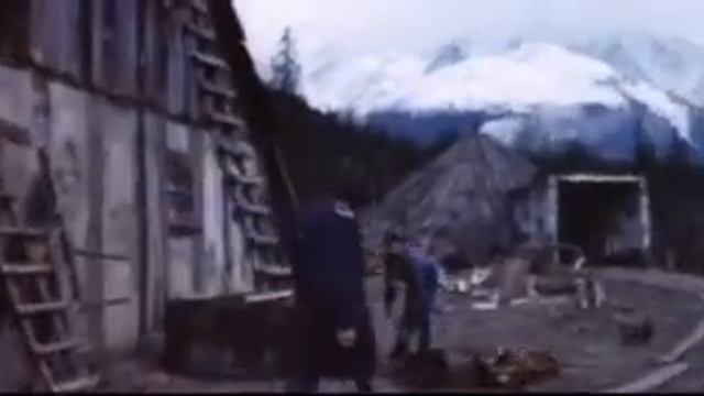 video 2mb смотреть онлайн