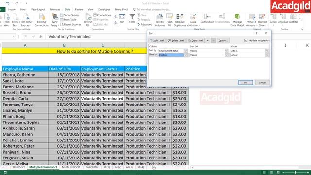 How to Sort Multiple Columns in Excel | Data Sorting in Excel | Sort & Filter Functions in Excel -2 смотреть онлайн