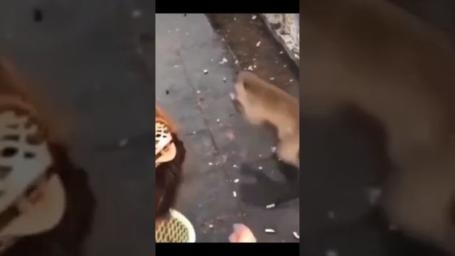 Ты смеешься, ты перезапускаешь 11 серию ? Попробуй не засмеяться смотреть онлайн