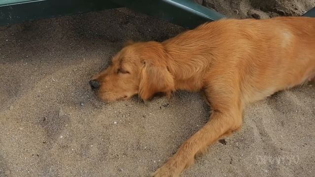 Турция,г Сиде,отель Side Star Elegance.Пляж