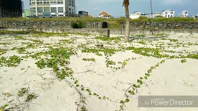 ДАНАНГ. Центральный ВЬЕТНАМ. Сказочные пляжи. HOLOMAKS VIDEO