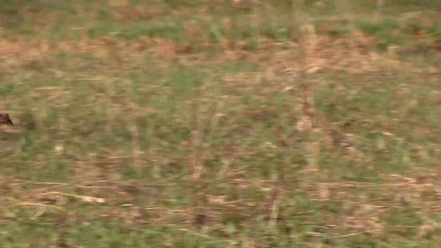 доработал смотреть онлайн