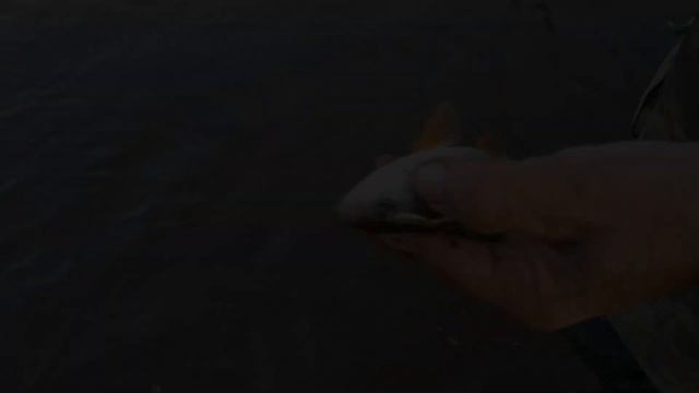 Лето 2021. Рыбалка на Вятке. Летние итоги или как я перестал рыбачить. смотреть онлайн