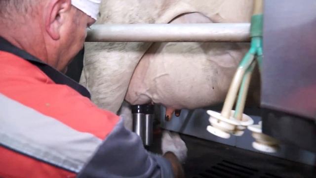 Хочу. Могу. Умею. Доярка смотреть онлайн