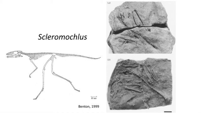 Lecture 42 Where did the Dinosaurs come from? смотреть онлайн