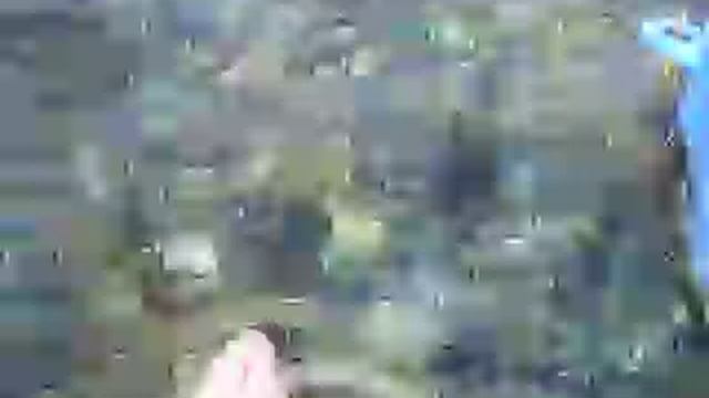 рыбки в красном море смотреть онлайн