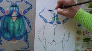Как нарисовать майского жука . 1 Акварелью.