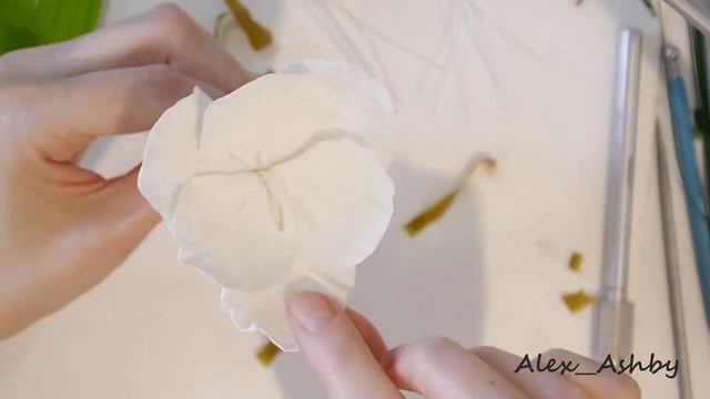 Gladiolus©.mp4 смотреть онлайн