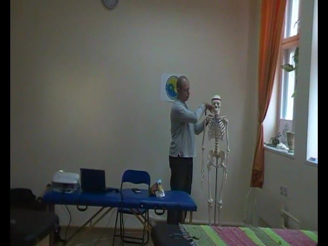 Семинар ВИСЦЕРАЛЬНАЯ ОСТЕОПАТИЯ 1 ВО1_14 смотреть онлайн