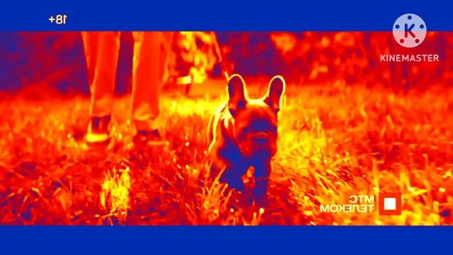 Мтс реклама октябрь 2023 in robot flip смотреть онлайн