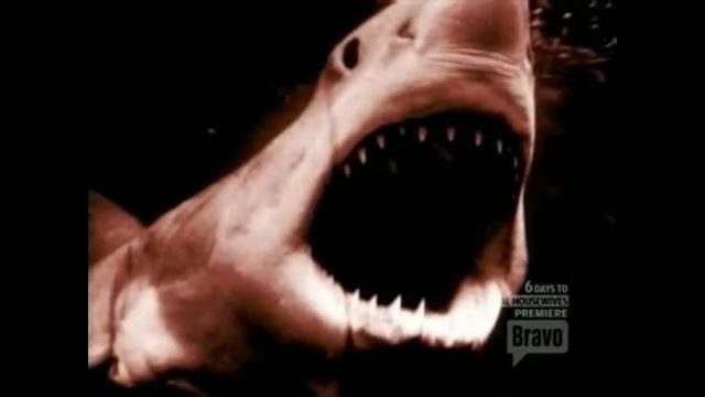 100 Scariest Movie Moments-Jaws смотреть онлайн