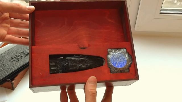 Wild Alligator (Как и есть без монтажа своими глазами ) смотреть онлайн