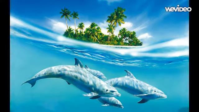 С Днем Святого Валентина Любимый Мой Женчик !!! смотреть онлайн