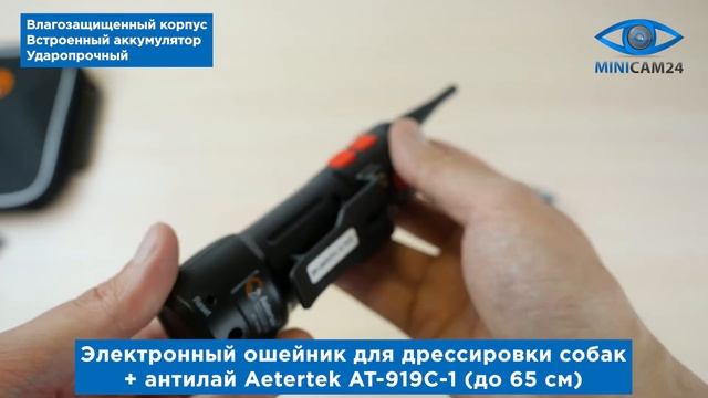 Подробная распаковка электронного ошейника для дрессировки собак + антилай Aetertek AT-919C-1 смотреть онлайн