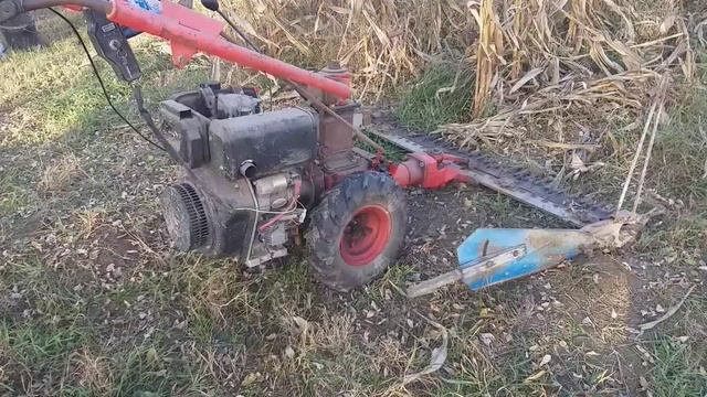 MF 70 és a kukorica szár vágás. смотреть онлайн