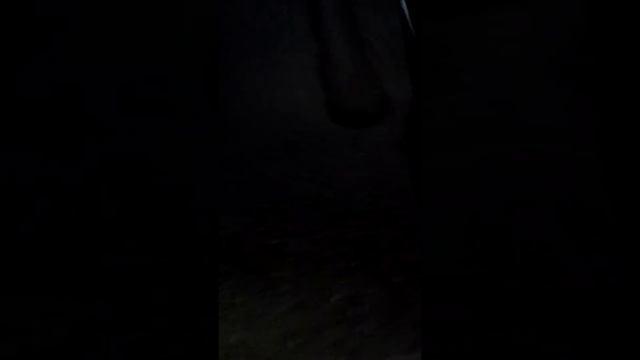 sashishi pilmi romelic ar gamogvida kargi shemdeg upro kargs gadavigep смотреть онлайн