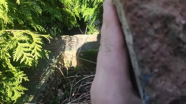 При монастыре в Брестской крепости будет музей смотреть онлайн