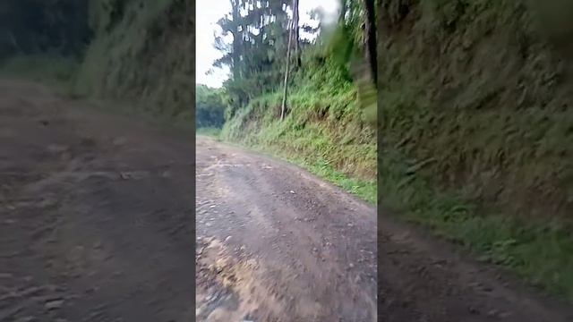Subaru E12 Subaru domingo смотреть онлайн