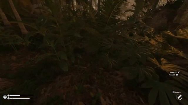 Green Hell: Одни джунгли на двоих. | VIN Steam смотреть онлайн