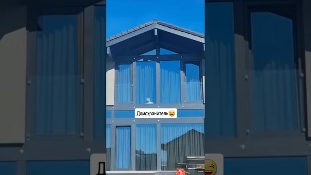 лайк домохранителю💪🏻