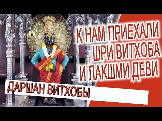 К нам приехали божества Шри Витхоба и Лакшми Деви! смотреть онлайн