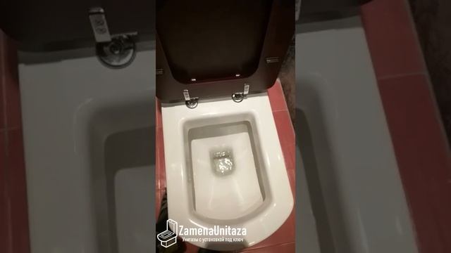 Тест смыва унитаза Vitra Serenada Горизонтальный Выпуск Деревянна Крышка смотреть онлайн