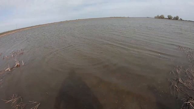 Рыбалка на ХОРЕ (Харабалинский район, Астраханская область) смотреть онлайн