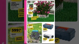 ЧИЖИК🐥НОВЕЙШИЙ КАТАЛОГ С 16.05.24