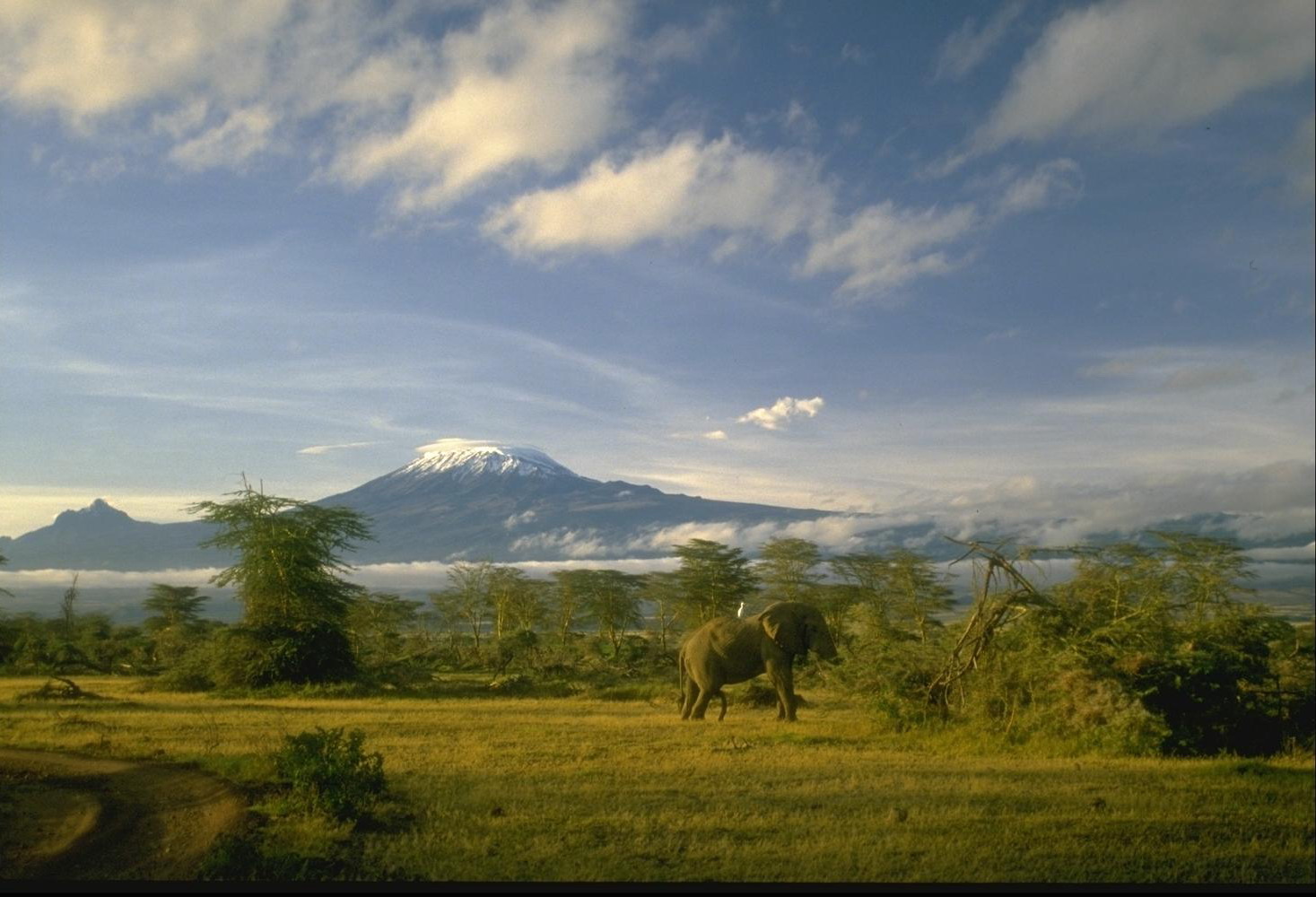 Синдром выученной беспомощности. Как избавиться от беспомощности
