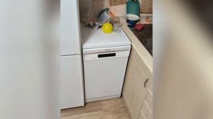 Посудомоечная машина Бирюса DWF-410/5