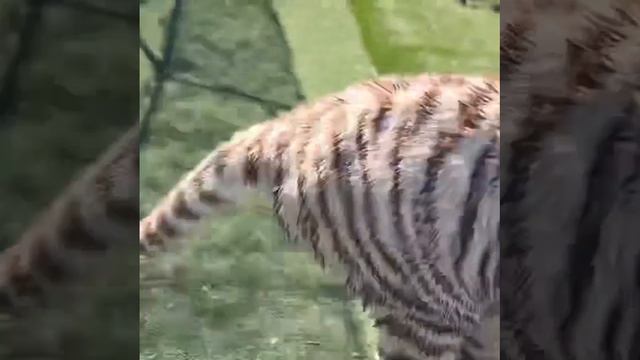 Treat Mom To Something Really Special This Mother's Day | Diamond Valley Lodge смотреть онлайн