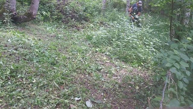 Stihl fs 131r смотреть онлайн