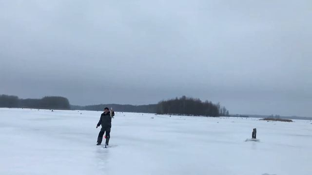 Рыбалка 2 января 2021 г. Щука и окунь. Остаёмся ночевать на острове. Ищем землянку. смотреть онлайн